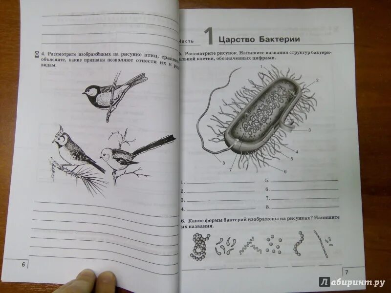 Биология рабочая тетрадь 7 класс линия жизни. Сонин и Захарова биология 7 класс тетрадь. Иллюстрации в учебниках биологии Сонина. Альбом для биологии 1 курс. Рис 5 и 6 биология 7 класс.