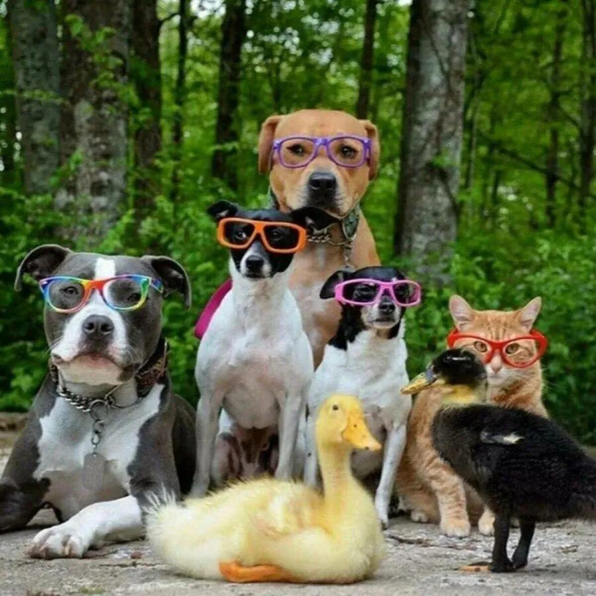 Какие всяких разных