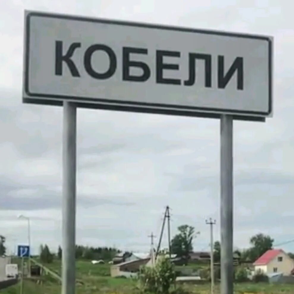 Деревня кобели кировская область. Собака в селе. Кобелино деревня. Собачья деревня. Кобели деревня.