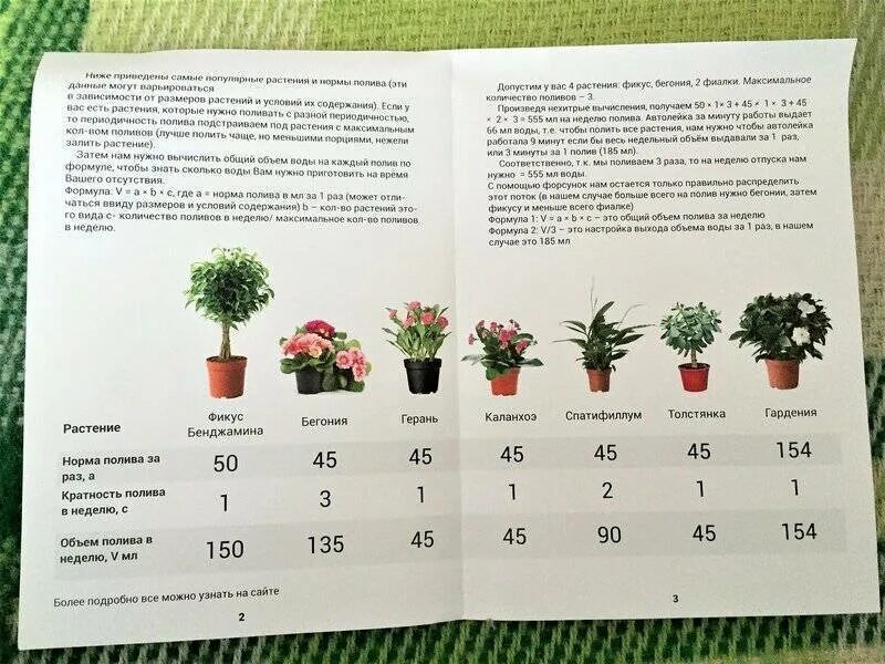 Норма полива плодовых деревьев и кустарников. Таблица полива домашних цветов. Схема удобрений комнатных растений. Схема подкормки моркови. Схема удобрения рассады томатов.