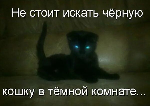 Найти черную кошку в темной комнате. Не ищите черную кошку в темной комнате. искать черную кошку в темной комнате.