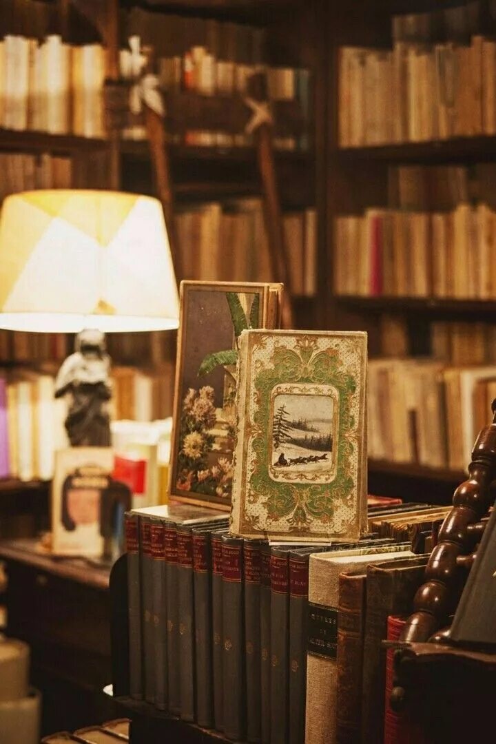 My book library. Книга библиотека. Хорошая библиотека есть книжное отражение Вселенной. Кушать в книжном стиле. Самые лучшие библиотеки в жизни свои на картинке.