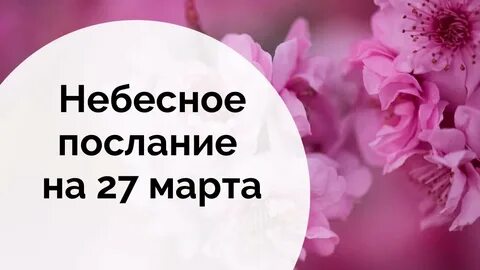 Тайна жрицы юлиана