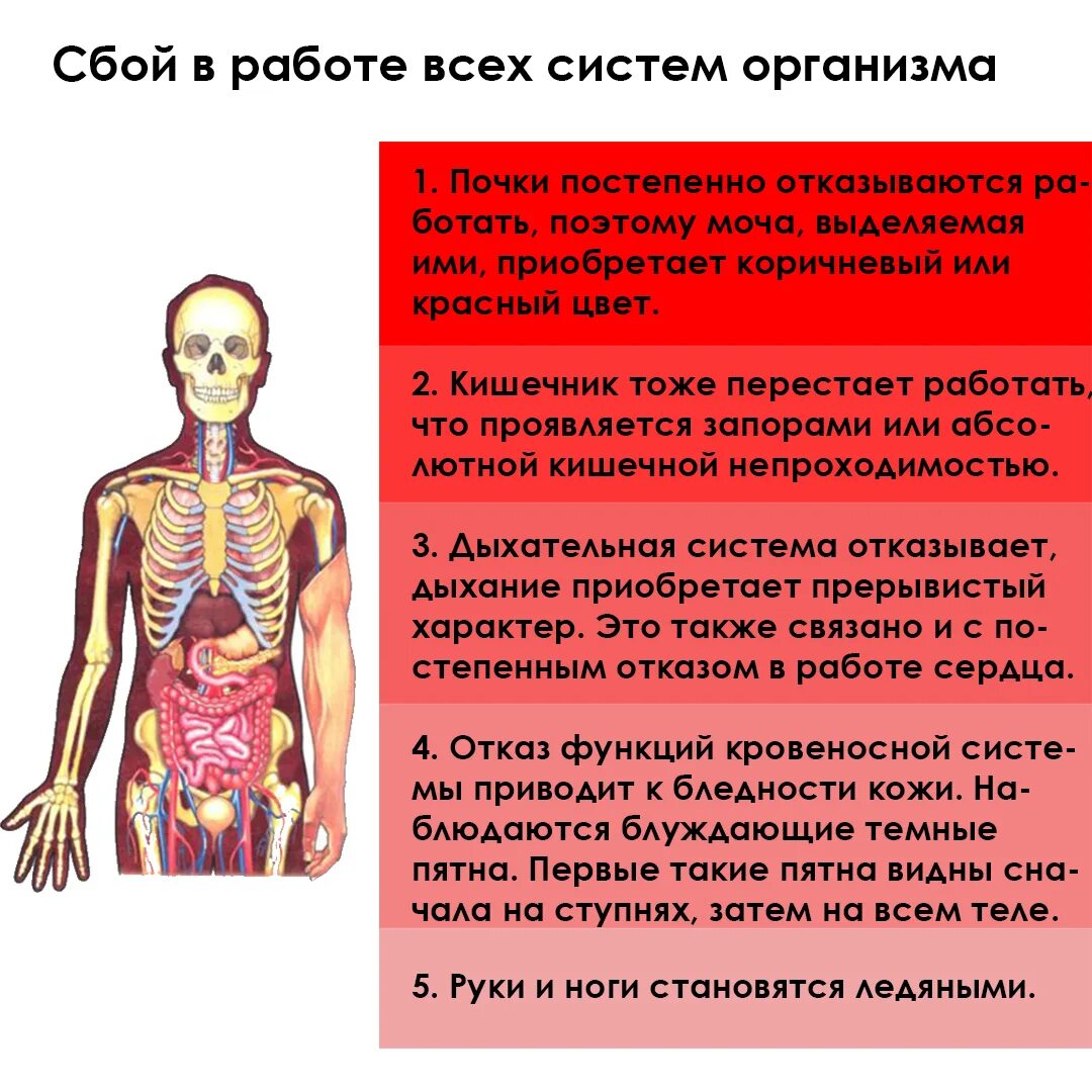 Почему умирают старые люди