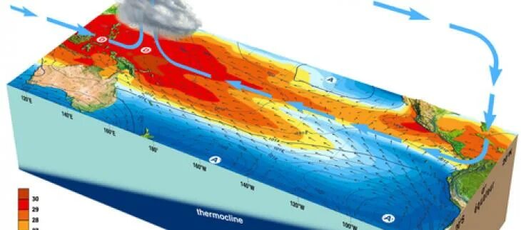 Эль нинью. Эль-ниньо течение. el nino 24 течение. эль ниньо волны. эльнинье течение.