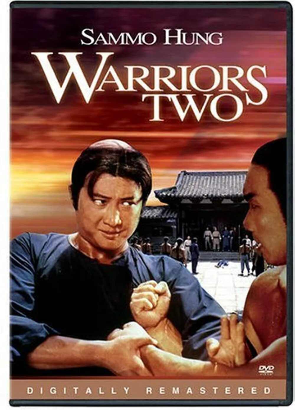 Samurai warriors 2. Игра samurai warriors 2. Two warriors. Тадакацу хонда самурай вариорс. 2 воина.