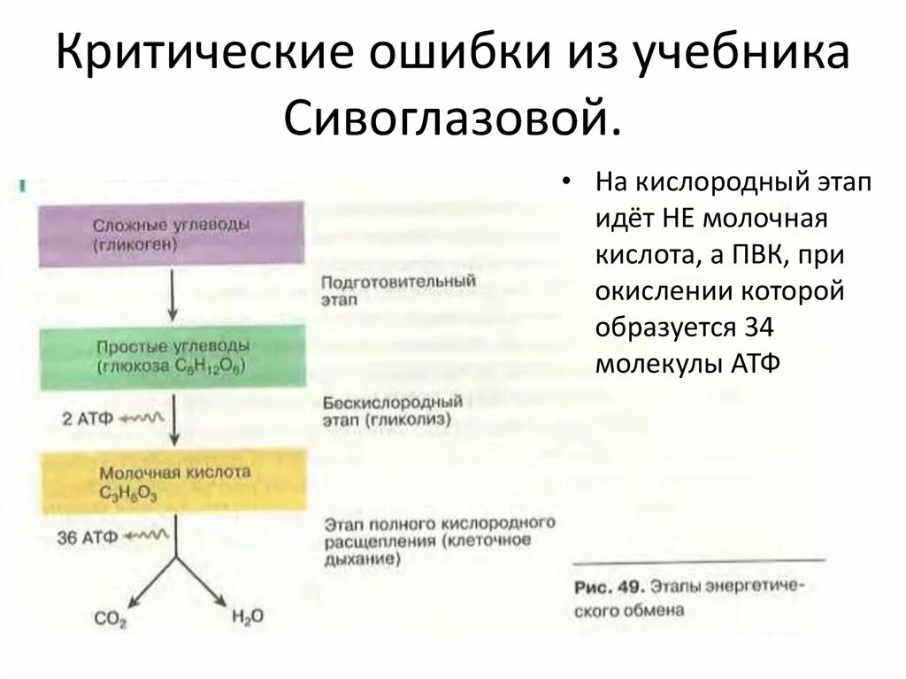 Клеточное дыхание схема этапов. Энергетический обмен диссимиляция этапы энергетического обмена. Исходные вещества клеточное дыхание. Этапы энергетического обмена клеточного дыхания таблица. Характеристика этапов энергетического обмена.