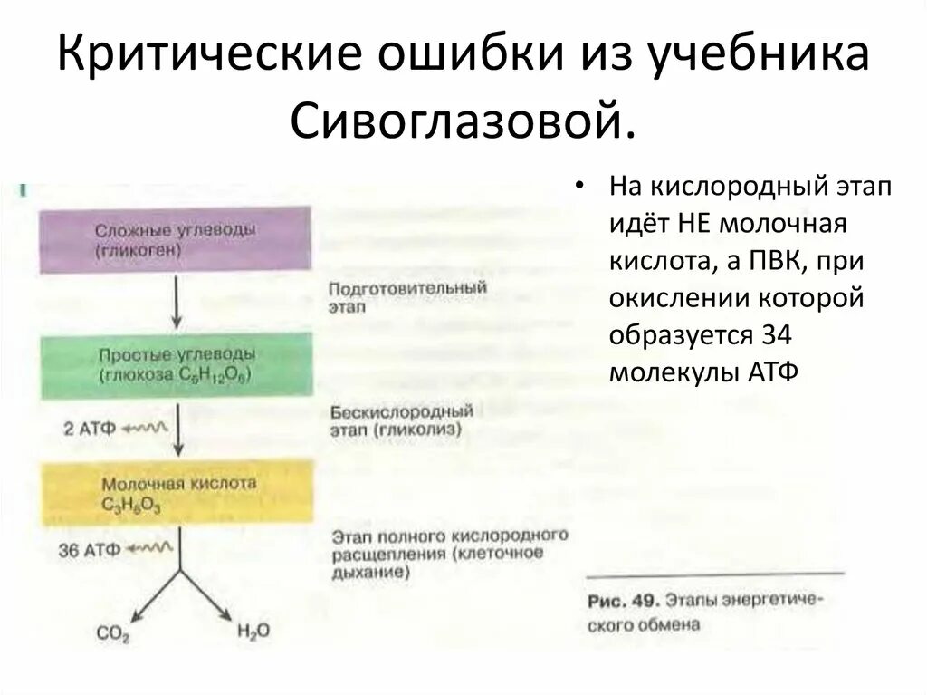 Обеспечение клеток энергией 9 класс. Этапы энергетического обмена клеточного дыхания. Схема энергетического обмена ЕГЭ биология. Схема процесса клеточного дыхания. Подготовительный этап бескислородный этап