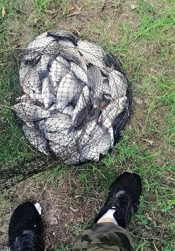 рыбаки шадринска