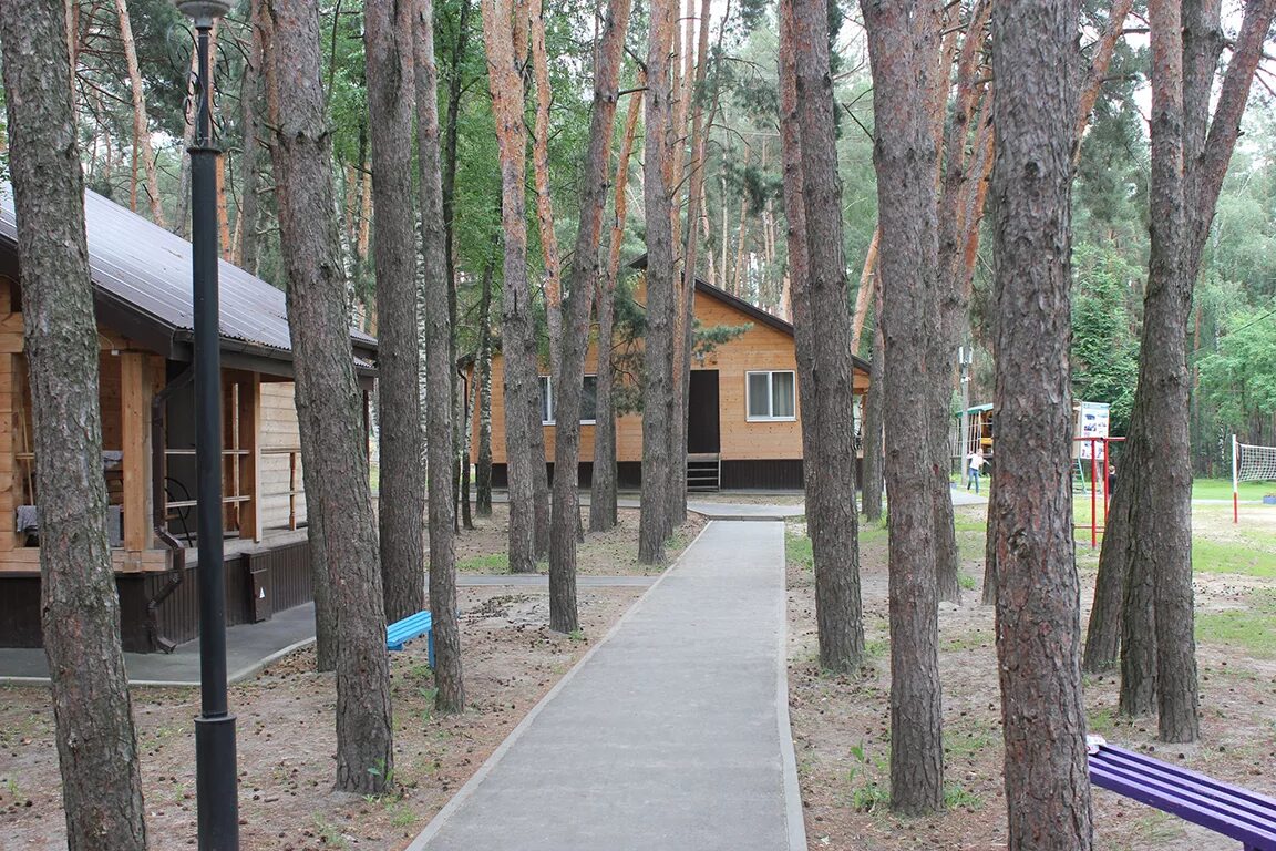 лагерь сосновый бор. лагерь сосновый бор фокино. сосновый бор санаторий пермь гайва сайт. санаторий сосновый бор пермь. сосновый бор лагерь пенза.