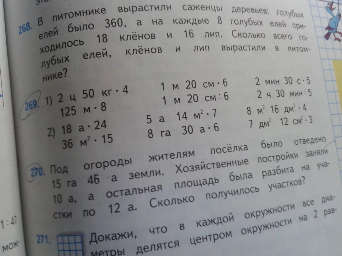 В питомнике вырастили саженцы деревьев елей было. В питомнике вырастили саженцы деревьев елей. В питомнике вырастили саженцы деревьев 360. В питомнике вырастили саженцы деревьев 360 елей. В питомнике вырастили саженцы деревьев голубых елей было 360.