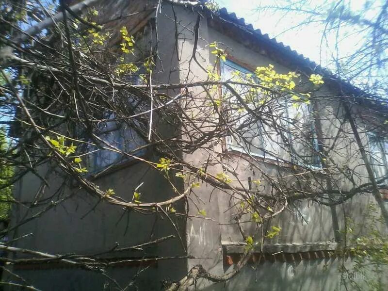 Липцы харьковская область население. Липцы село. липцы украина. харьков липцы. липцы харьковская область фото.