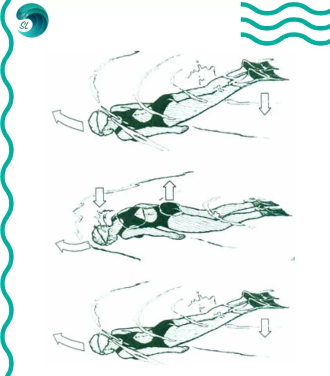 Как научиться плавать под водой. Стиль плавания Баттерфляй техника. Техника плавания: стиль Баттерфляй (Дельфин). Техника плавания баттерфляем Дельфин. Колхидо-иберийский стиль плавания схема.