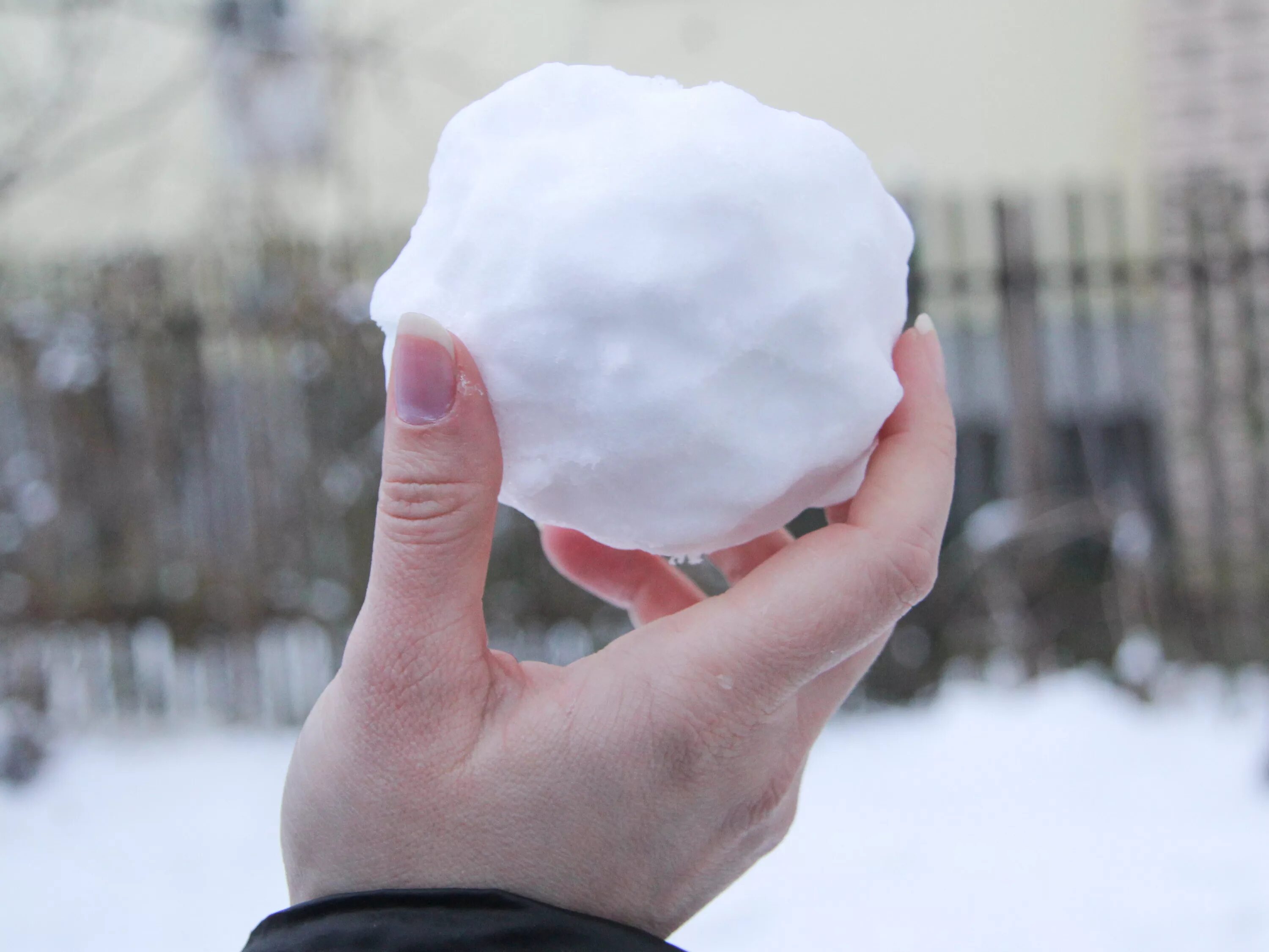 Снежком в глаз. Комок снега. Снежки. Снежок. Кусок снега.