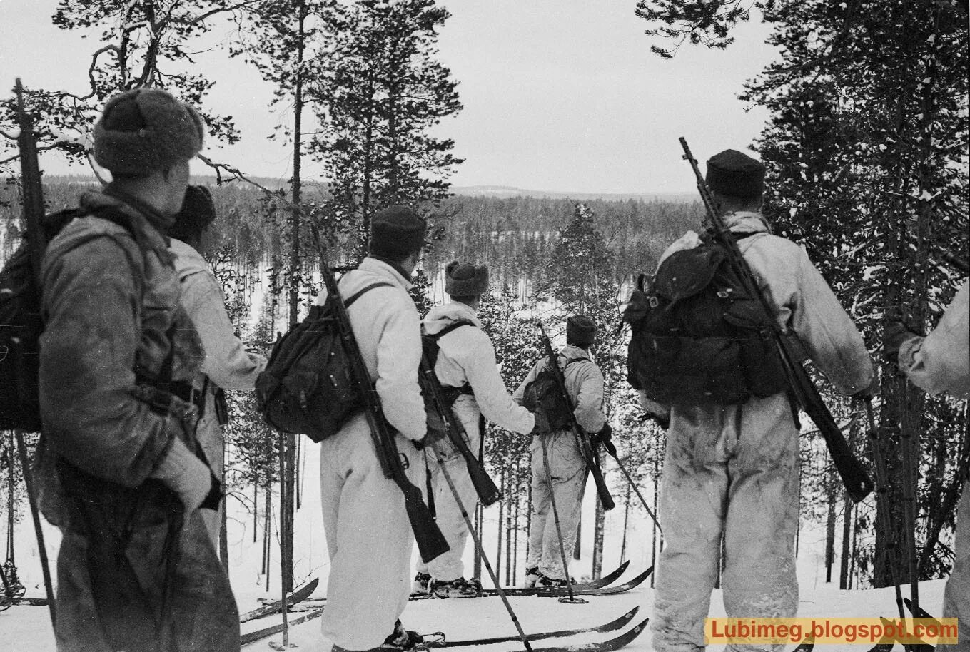 В карелии армейский. Финская армия 1941. Финские военные. Карелия советского солдату.