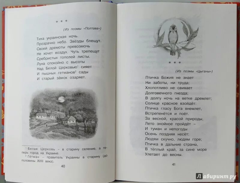 Стихи пушкина ночь. Пушкин птичка Божия. Стих Пушкина птичка. Птичка Божия не знает Пушкин. Стихотворение птичка Божия не знает.