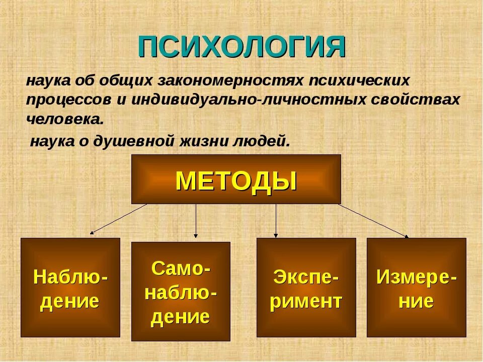 Психика человека 8 класс