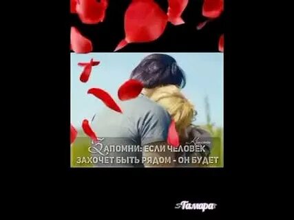 Исенгазин песня бархатный лофт
