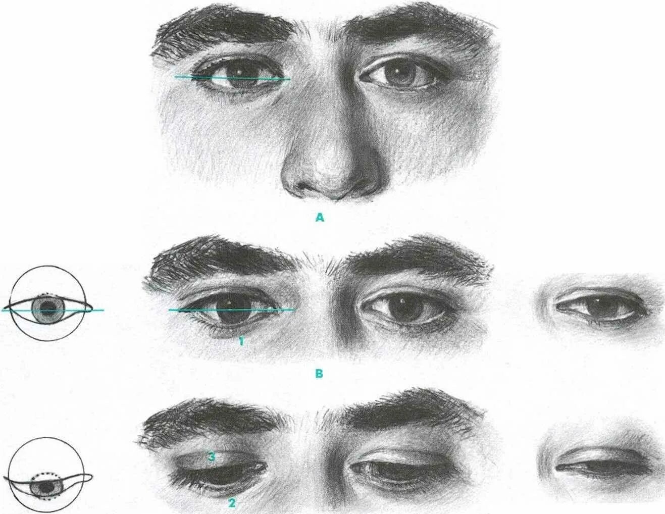 Виды рисунков глаз. Глаза нарисованные мужские. Глаза в разных ракурсах. Рисование глаз в разных ракурсах. Глаза для рисования мужские.