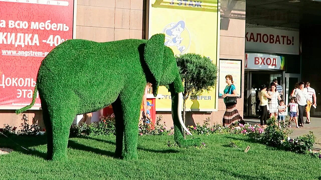 Зелёный слон. Салатовый слон. Слон зеленого цвета. Зеленая слоновая