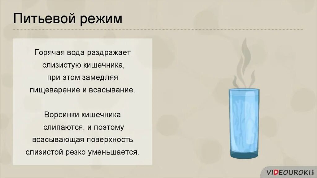 Нельзя пить горячую воду. Питьевой режим. Вода и питьевой режим. Заболевания мочевыделительной системы питьевой режим. Питьевой режим горячей воды.