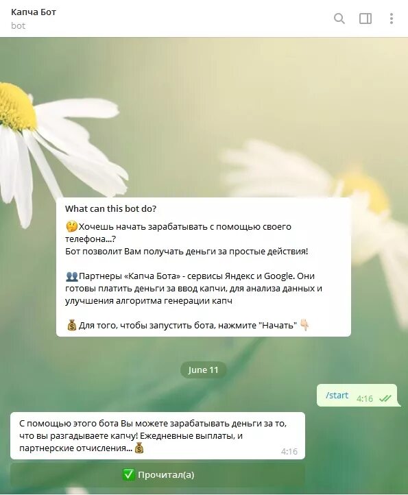 Капча бот в телеграмме. Капча бот в телеграмме