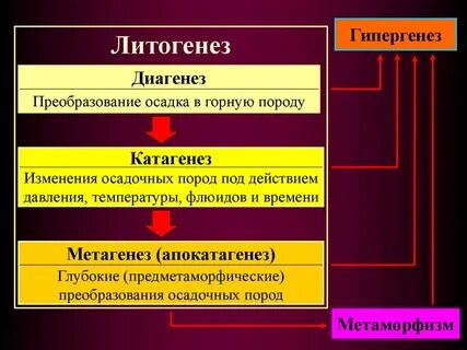 Факторы реформы