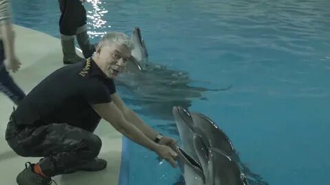 Музыка дельфины видео