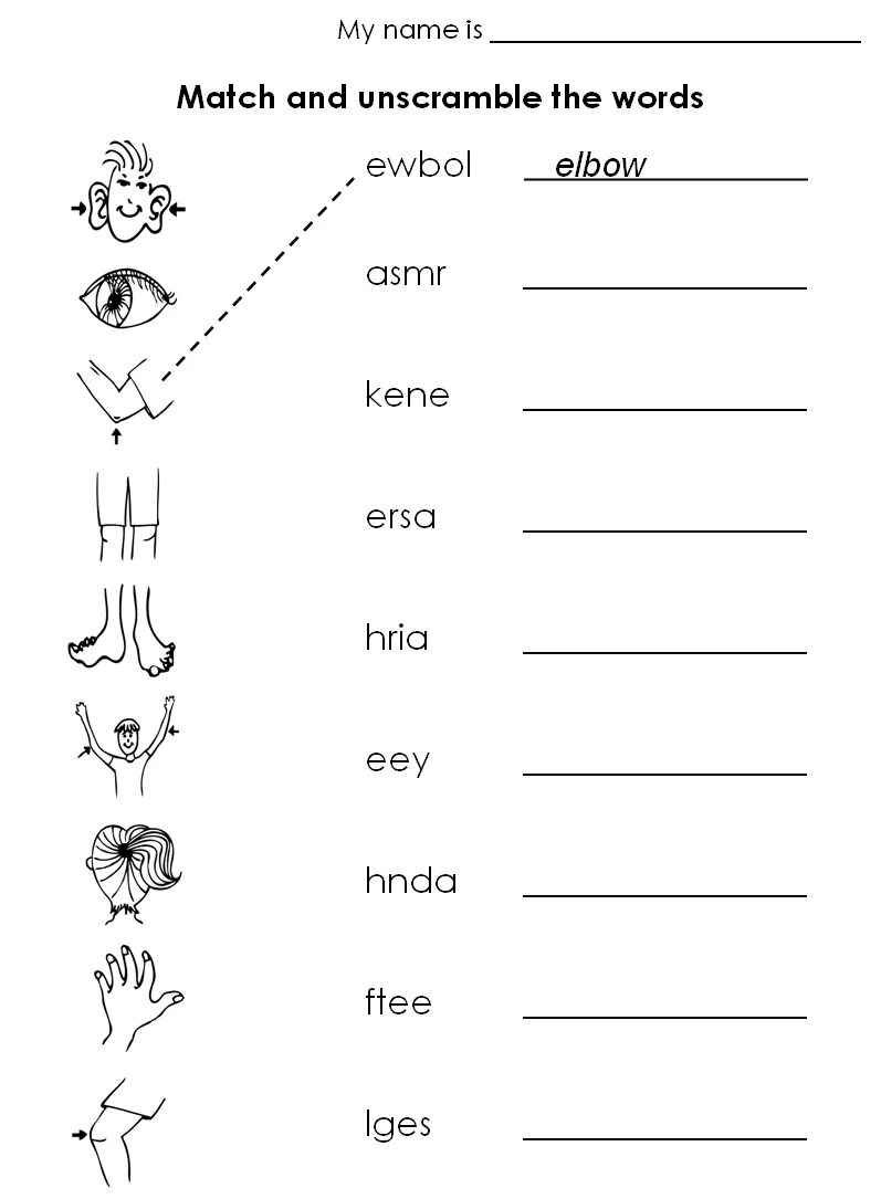 Unscramble the words and write them