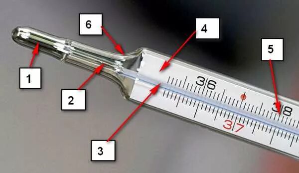 Строение ртутного градусника. Из чего состоит ртутный градусник. Как устроен ртутный градусник схема. Шкала ртутного градусника. Резервуар с ртутью