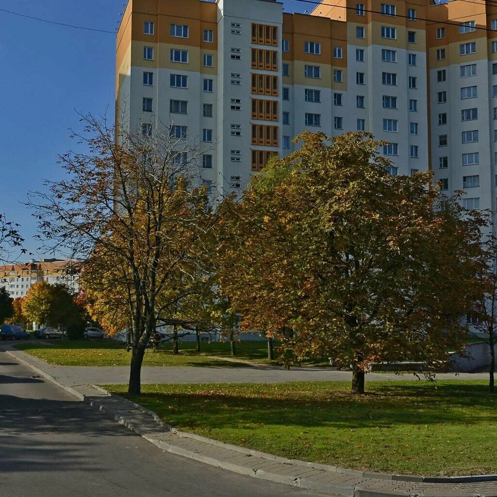 Школа минск 219. Маяковского 99а янаул. Минск проспект победителей. Провайдеры одинцова 99 минск. Маяковского 99.