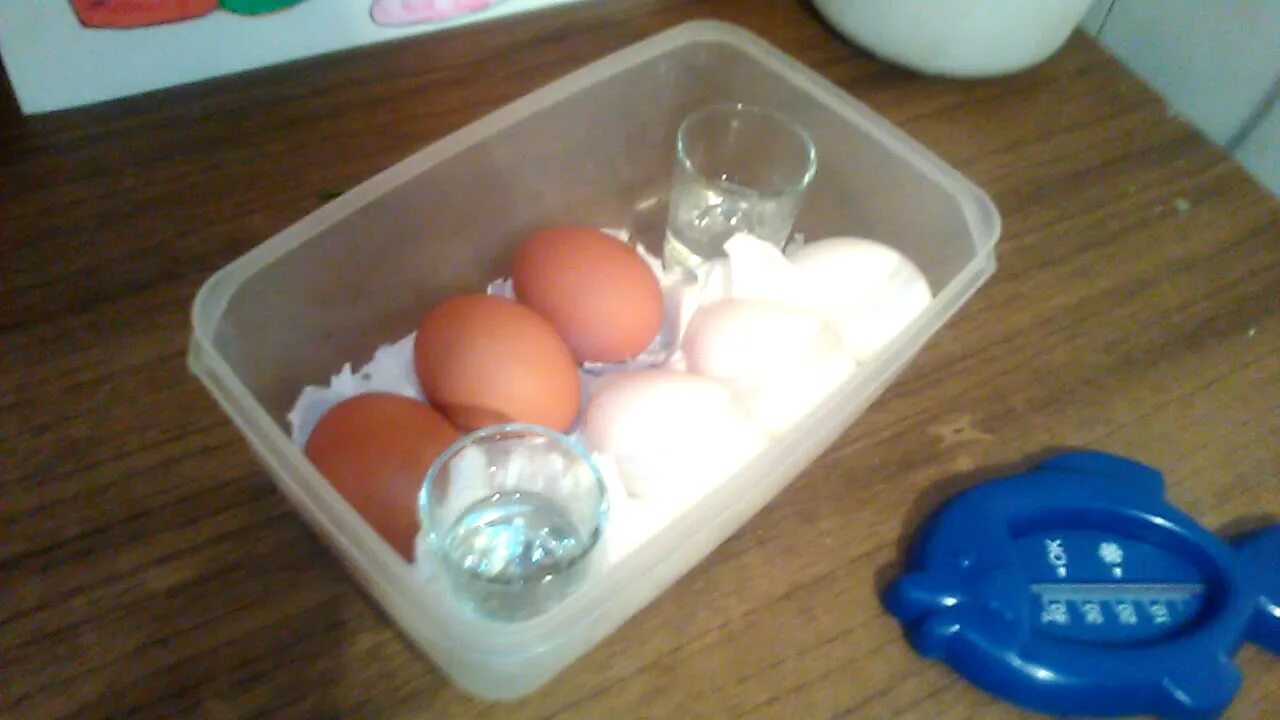 Можно из яйца вывести цыпленка. Цыплята из магазинных яиц. Цыплята из инкубатора. Магазинные яйца в инкубатор. Домик для куриных яиц.