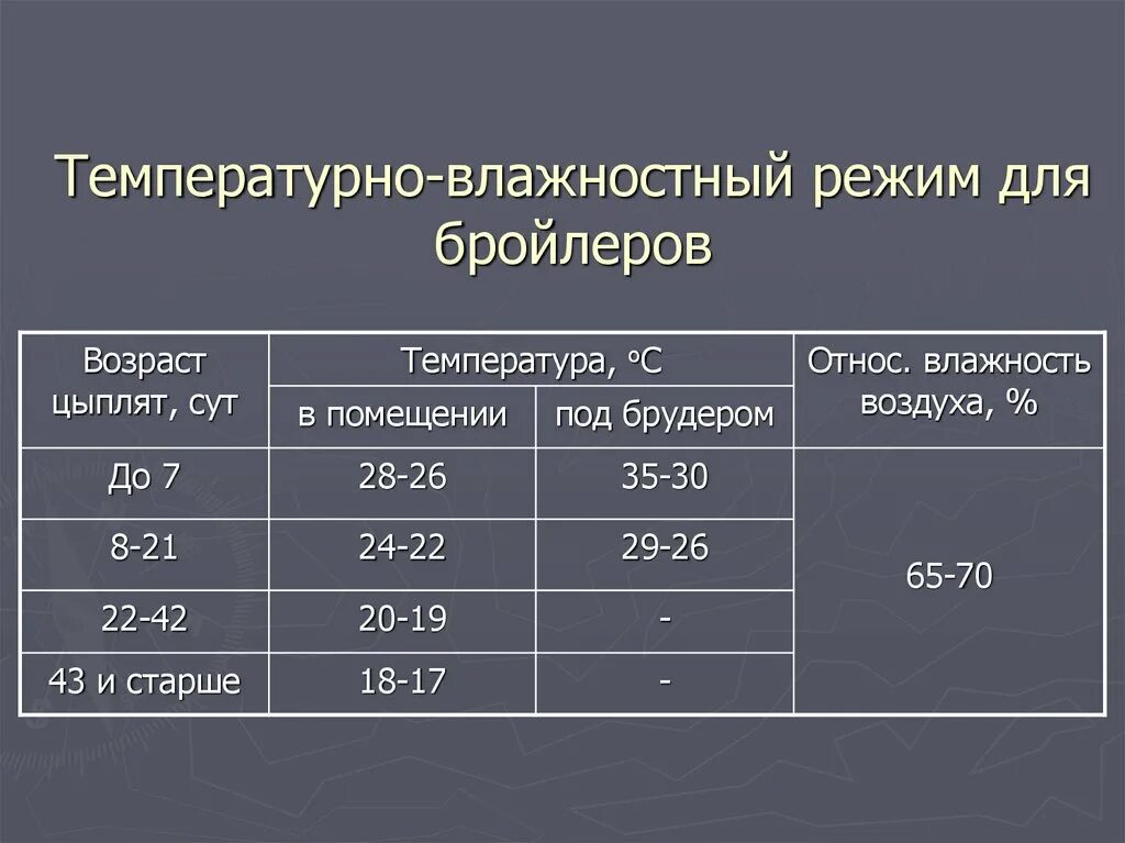 Температурный режим для цыплят бройлеров в 3 недели. Температурный график выращивания бройлеров. Температурный режим для бройлеров таблица. Таблица температурно-влажностного режима для бройлеров. Какое помещение должно быть у бройлеров