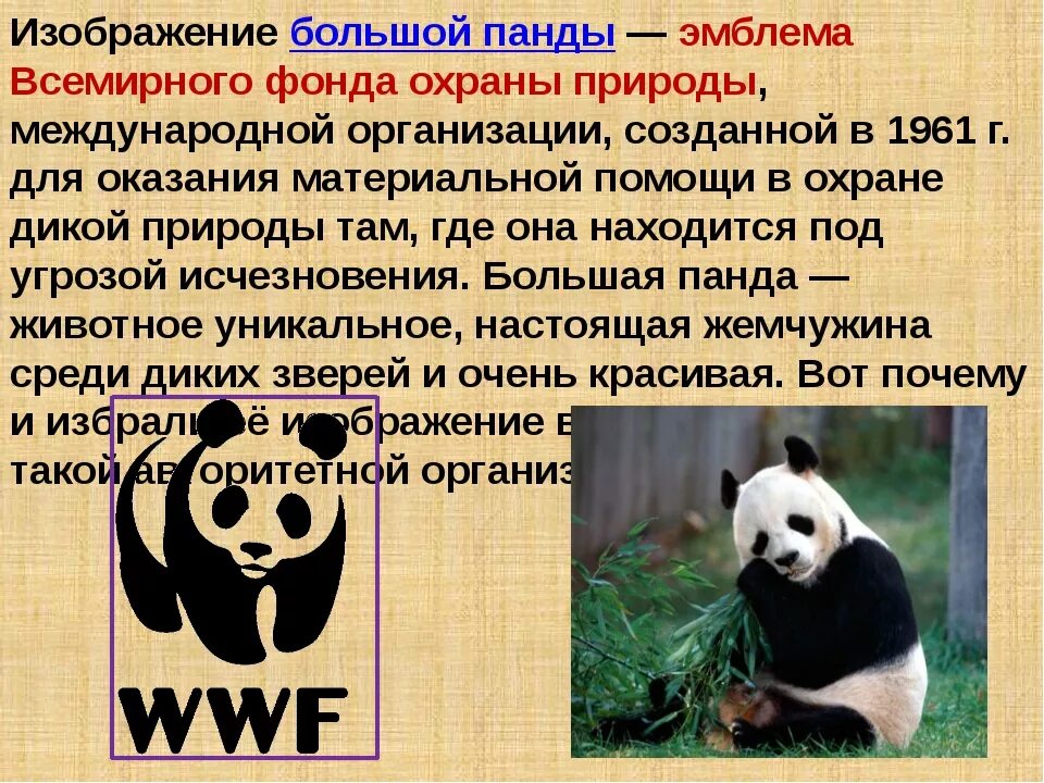 Почему важно уделять внимание охране диких животных. Всемирный фонд охраны дикой природы WWF. Всемирный фонд дикой природы эмблема. Символ Всемирного фонда охраны природы. Большая Панда сообщение.