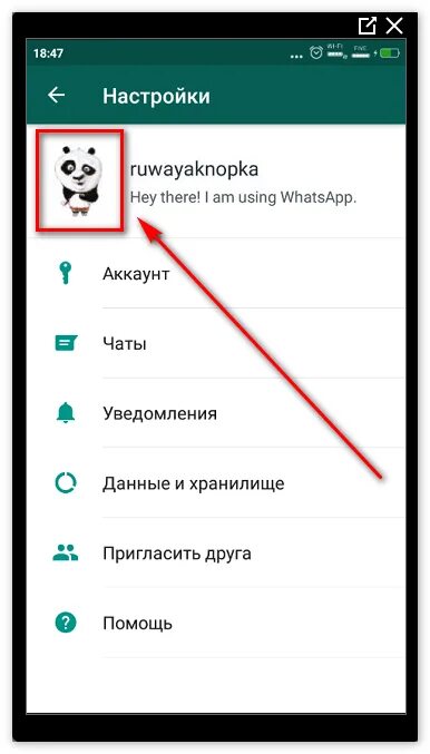 Добавить в ватсап картинки. Как поставить аватарку в ватсапе. Как установить фотографию в ватсапе. Как сделать картинку в ватсапе. Как поставить фото в WHATSAPP.