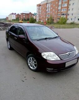 120 2003 год