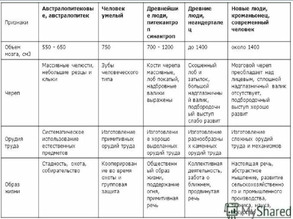 Этапы эволюции человека 9 класс пономарева. Таблица по биологии стадии антропогенеза 11 класс. Таблица по биологии 8 класс Антропогенез Эволюция человека. Происхождение человека таблица 9 класс по биологии этапы эволюции. Таблица по биологии стадии антропогенеза 8 класс биология.