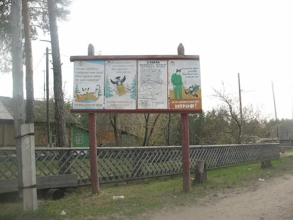 департамент лесного хозяйства курганской области. директор боровского лесничества. барино шатровский район курганская. курганское лесничество. школьное лесничество боровское.