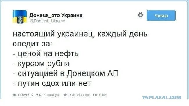 Каждый украинец. Настоящий украинец. Настоящие хохлы. Настоящий хохол. Хохлы зачем вы следите за котировкой нефти.