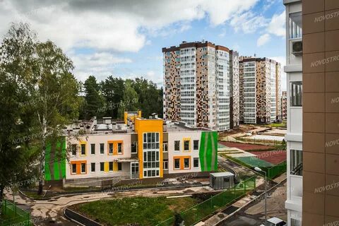 Детская мелодия леса