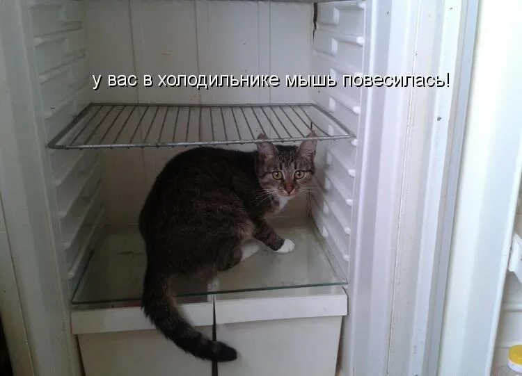 Холодильника нету