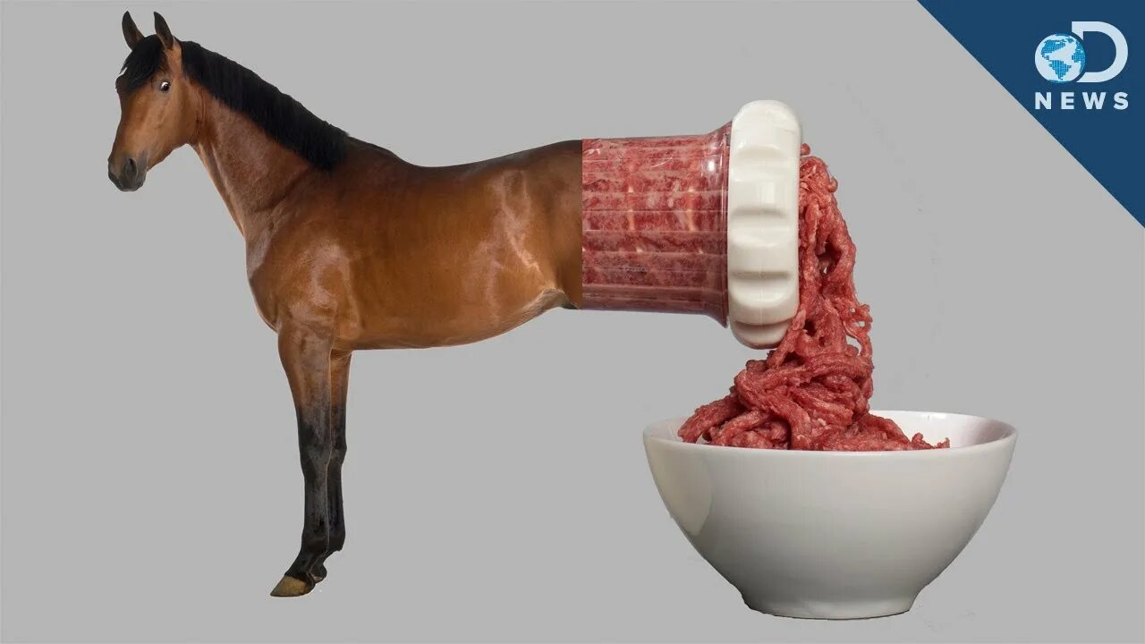 Есть мясо конины