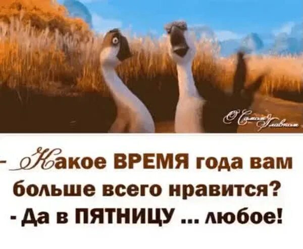 Наконец то пятница. Какое время года вам Нравится. Какое время года вы любите в пятницу любое. Здравствуй пятница. В любое время при наличии