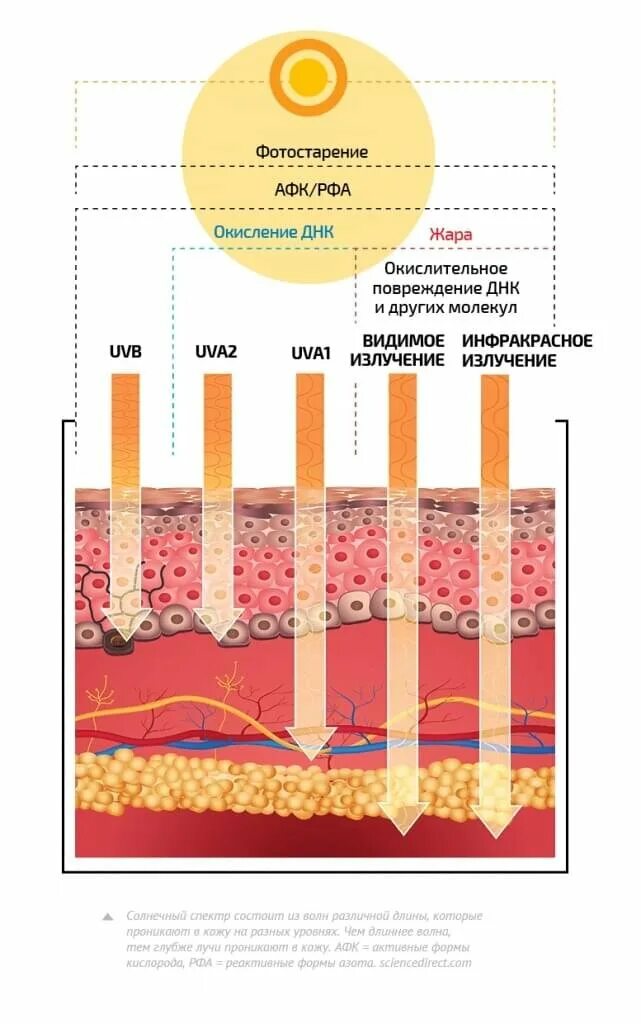 Какое действие оказывают на кожу uva лучи. Лучи ультрафиолетовые uva uvb. uva uvb лучи что это. солнечные лучи uva и uvb. uvb излучение.