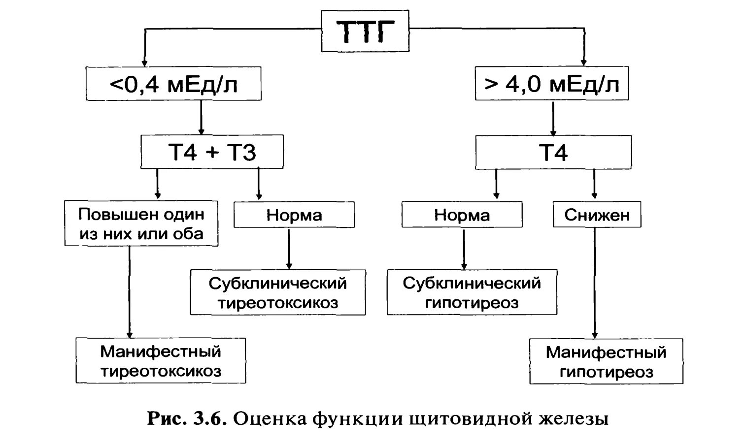 Гипотиреоз при нормальном ТТГ т3 т4. Низкий т4 при нормальном ТТГ И повышенном т3. Снижен т3 при нормальном ТТГ. Норма показателей ТТГ т3 т4.