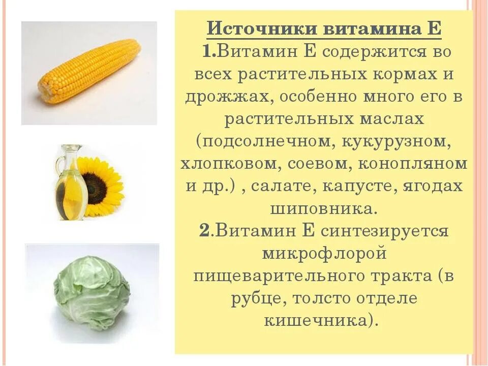 Какие продукты являются источником витамина е. Источники витамина е. Витамин е содержится в. Витамин е растительные источники. Источник витамина е в продуктах.