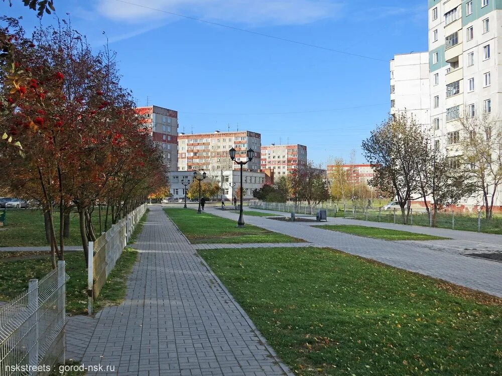 озеро юго западный жилмассив. озеро юго западный жилмассив. озеро на юго западном жилмассиве новосибирск. юго-западный жилмассив - западный. юго-западный жилмассив новосибирск озеро.