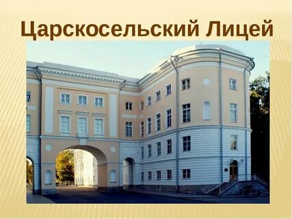 Виды лицей