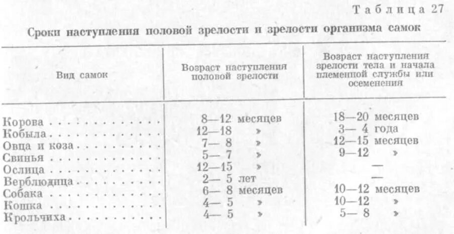 Определение беременности животных. Длительность беременности у животных таблица. сроки беременности у разных видов животных. возраст первого осеменения животных. период полового созревания у животных.