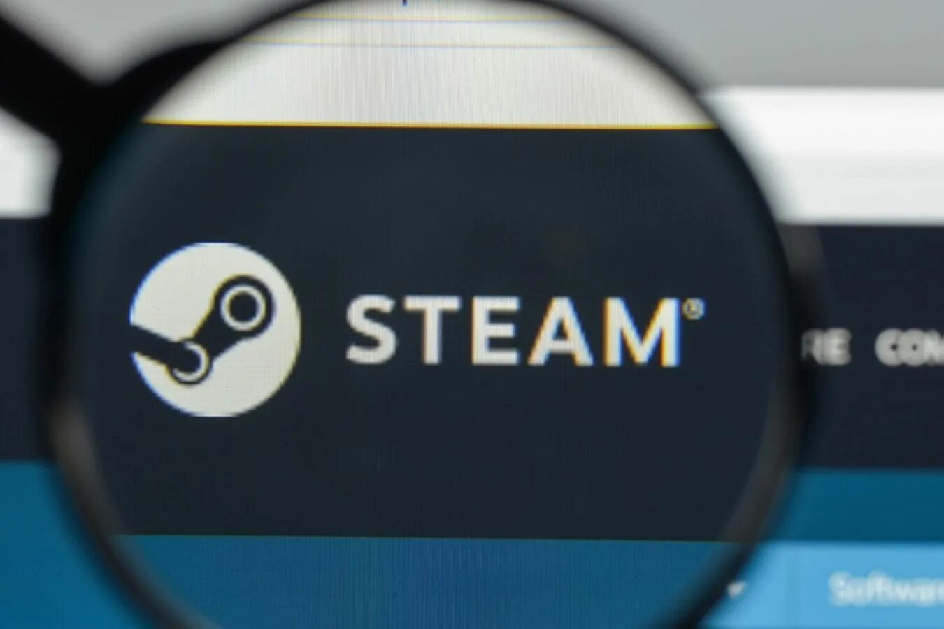 Steam киви. Киви стим. Стим Россия. Steam Казахстан. Стим Казахстан киви.